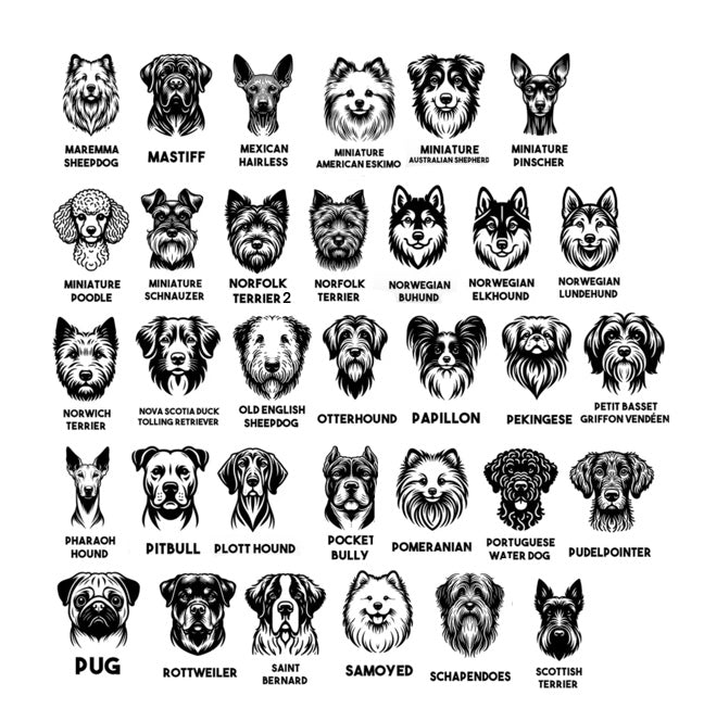 Dog Breed Magnets - I thru X