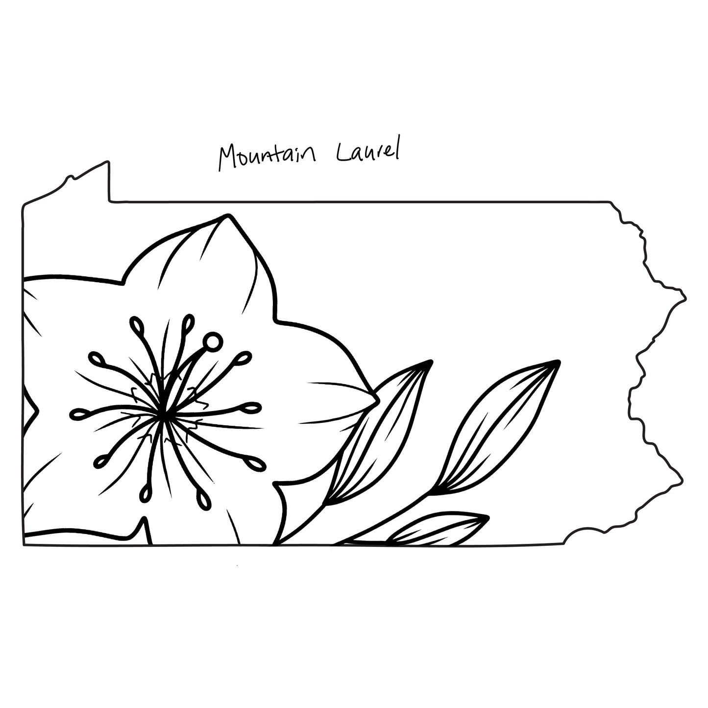 State Flower Magnets