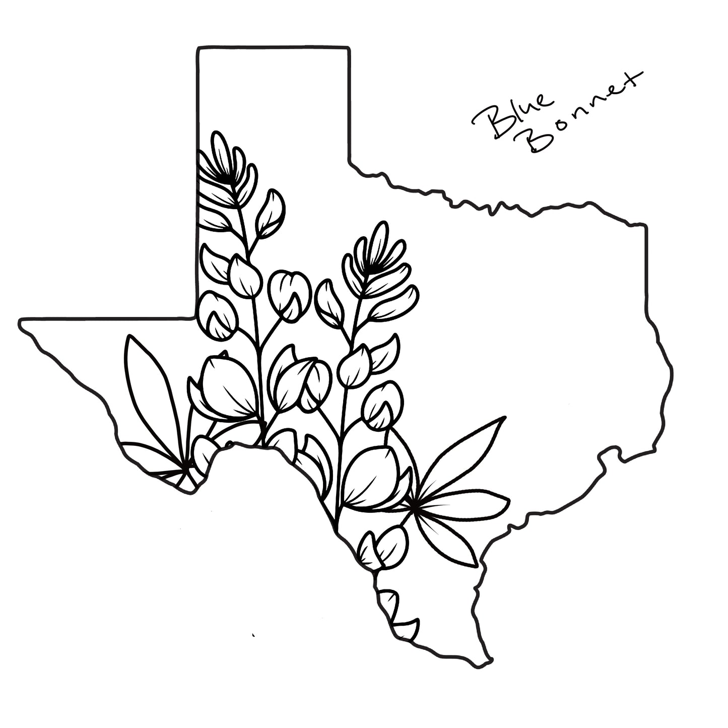 State Flower Magnets