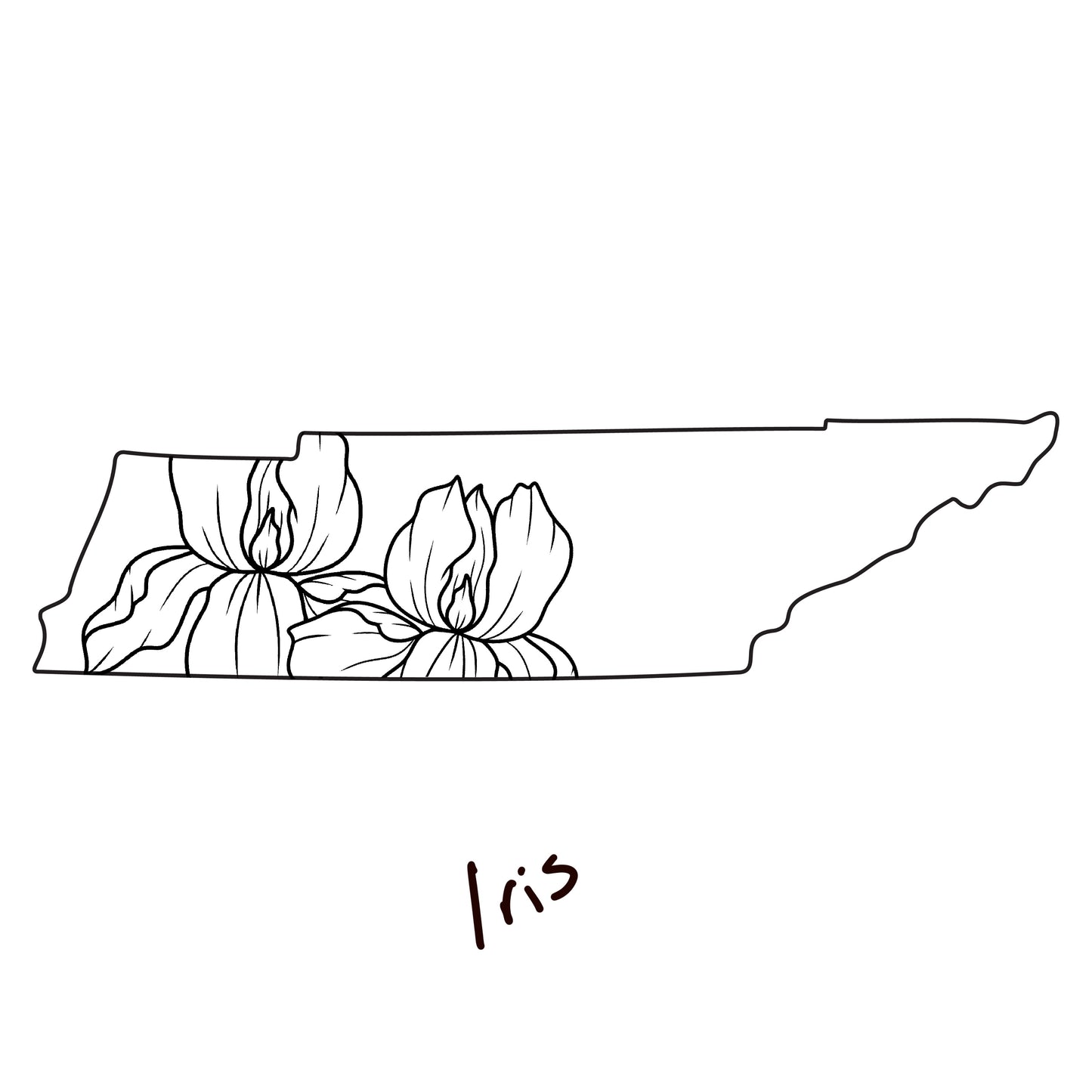 State Flower Magnets